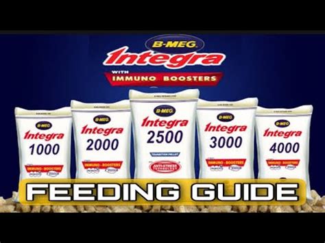 bmeg feeding guide for chicken